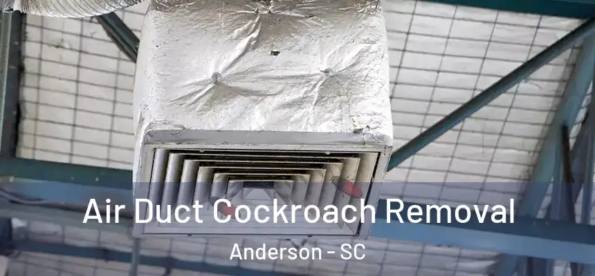 Air Duct Cockroach Removal Anderson - SC