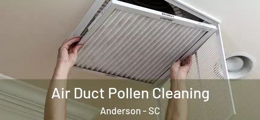  Air Duct Pollen Cleaning Anderson - SC