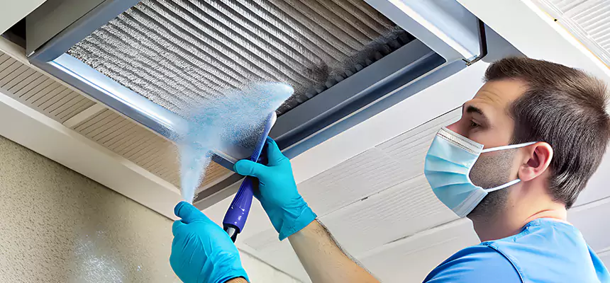 Proactive Dryer Vent & Auxiliary Duct Pollen Cleanup in Anderson, SC