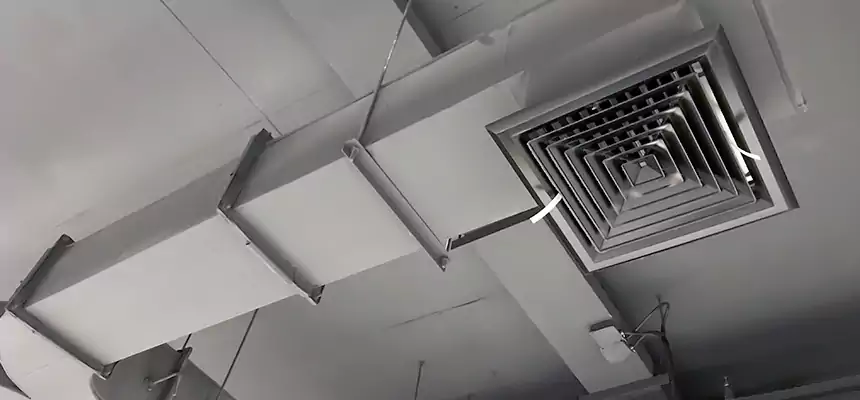 Restorative Allergy Relief Vent Cleaning – Coil, Blower & Housing Detail in Anderson