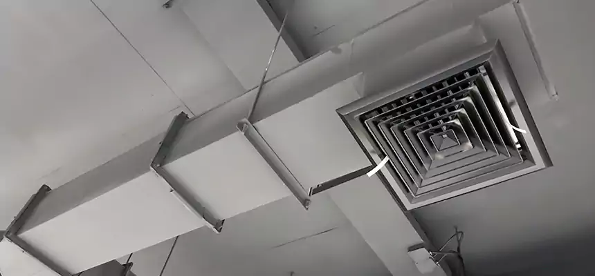 Our Rodent Droppings In Vents Services in Anderson, SC