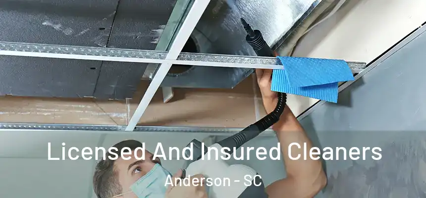  Licensed And Insured Cleaners Anderson - SC