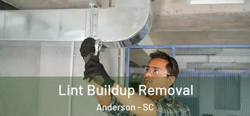 Lint Buildup Removal Anderson - SC