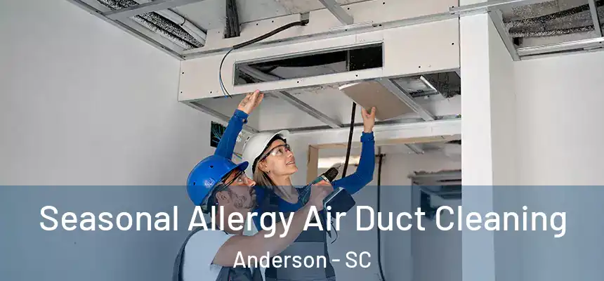  Seasonal Allergy Air Duct Cleaning Anderson - SC