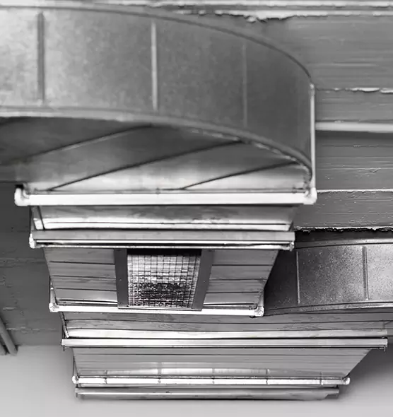 Professional Air Duct Pet Hair Removal in Anderson, SC