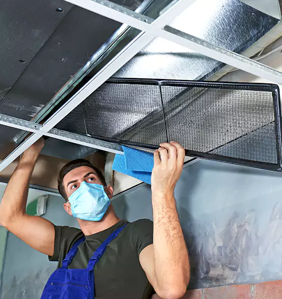 Professional Air Duct Pollen Cleaning in Anderson, SC