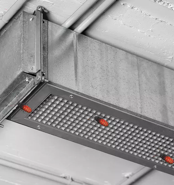 Affordable Insect Removal from Air Ducts in Anderson, SC