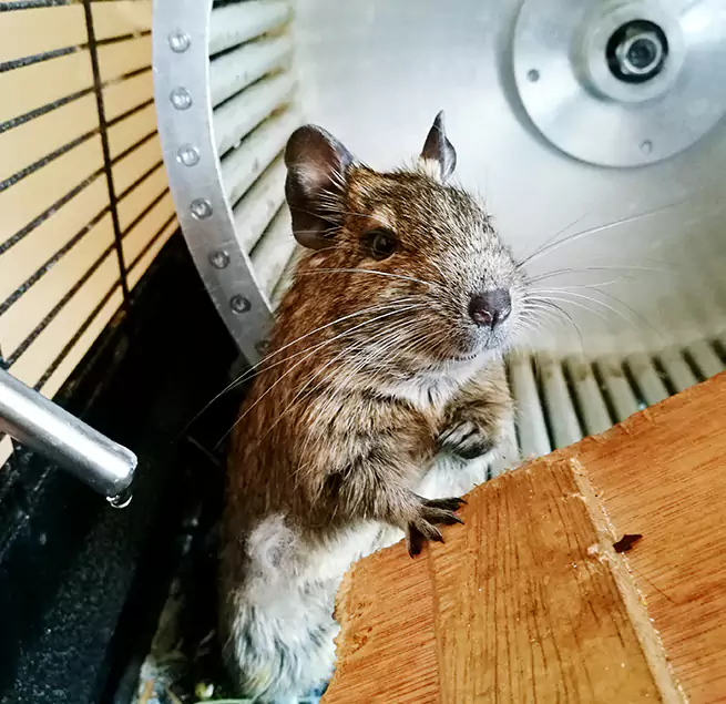 Why Homeowners & Businesses Trust Us Anderson, SC