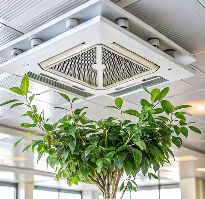 Why Homeowners & Businesses Trust Us in Anderson, SC?