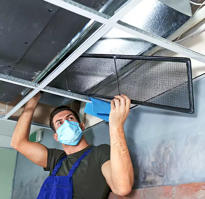 Why Homeowners Businesses Trust Us in Anderson, SC