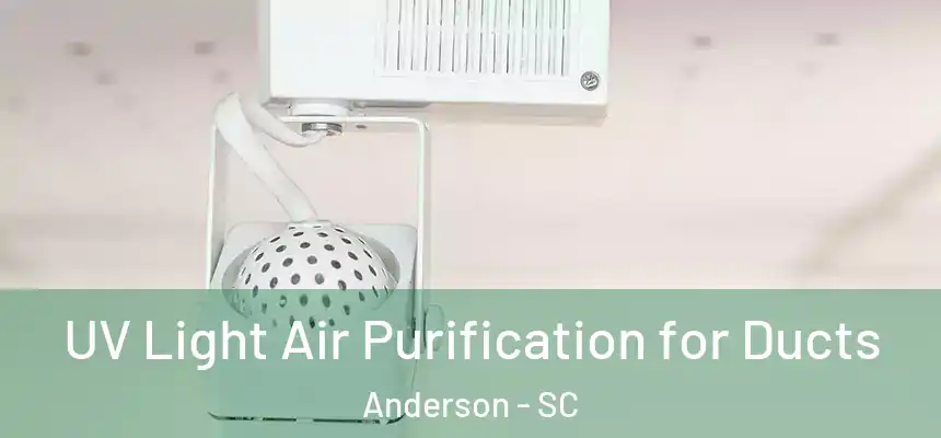  UV Light Air Purification for Ducts Anderson - SC